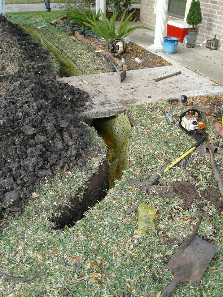 root barrier katy tx (4)